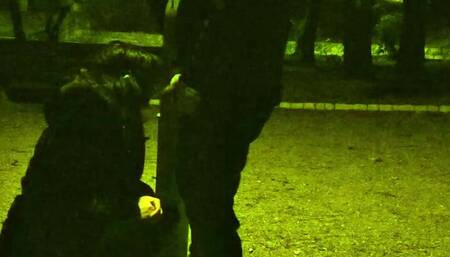 Having sex in a public place gives me special pleasure.