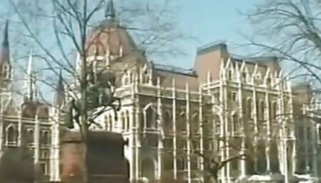 Ass Quest - Deborah Valentine Feat. Deborah Valentine - Perv Milfs n Teens