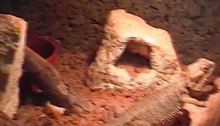 Incredible horny blonde German shoots her first amateur porn video