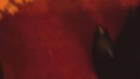 Paris White is waiting when her adopted uncle goes to check on a condo that