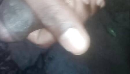 Black cock