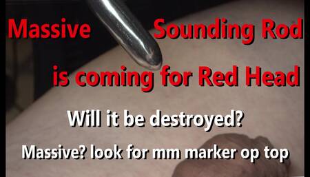 Big red head studio
