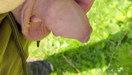 Skin pulled back having a piss