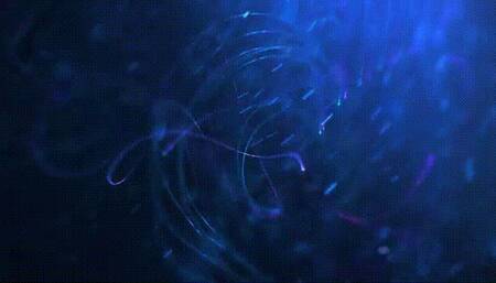 The Stink Face *mp4*