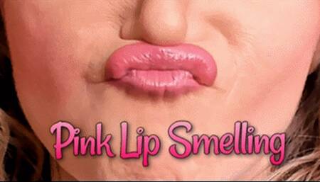 Pink Makeup Lipstick Application Lip Smelling (HD) WMV