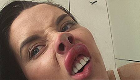 Big pig nose!(1920x1080 HD) MOV