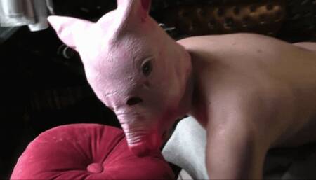 Analfickstueck Dehnung