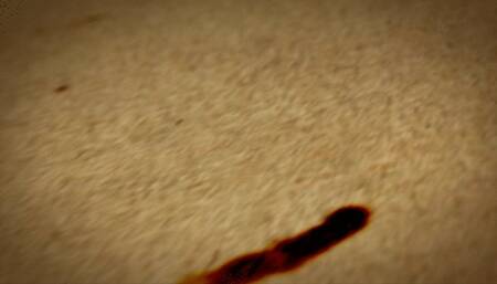 Yoga Sluts stretch their assholes and pussies for each other