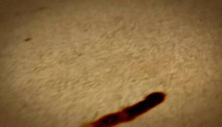 Muscle Girls play with ass in the locker room