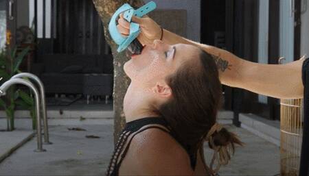 Stunning Sangini sucks penis gag in predicament bondage (HD)