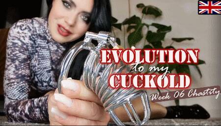 Evolution to my CUCKOLD - Week 6: Chastity ENGLISH (small version)