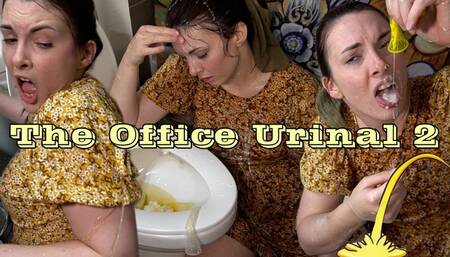 The Office Urinal Two