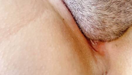 Close up licking pussy rough