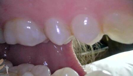 Mouth Cam - Terra Mizu