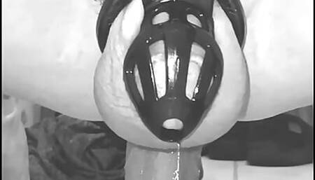 Violet takes a ride in B&W