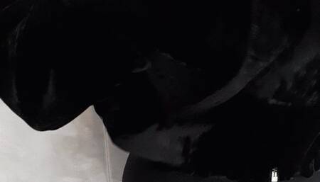 After my walking outside you can see how much I sweat and smell