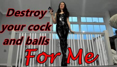 Destroy your cock and balls for Me (WMV)
