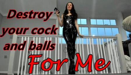 Destroy your cock and balls for Me (AVI)