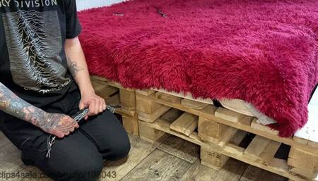 Feet licking on a leash