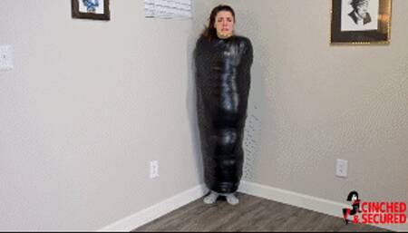 Smytten's Babysitter Mummification (WMV Format)