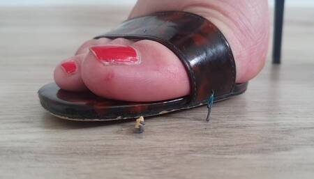 Giantess Crushes Tiny Men in Glossy Sandals Close up