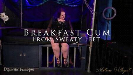 Breakfast Cum From Sweaty Feet (wmv)