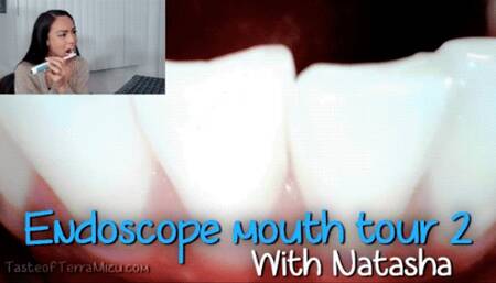 Endoscope Mouth Tour 2 - Natasha Ty - HD 720 MP4
