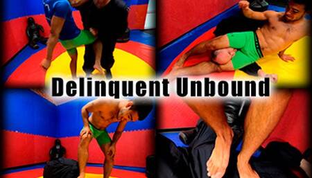 Delinquent Unbound