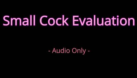 Small cock evaluation - Audio Only MP4
