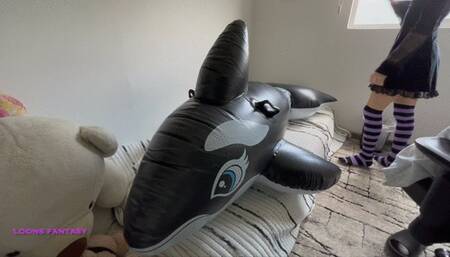 Owllete plays and humps with whale