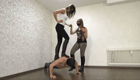 Mean fitness session for the stable boy (small version)