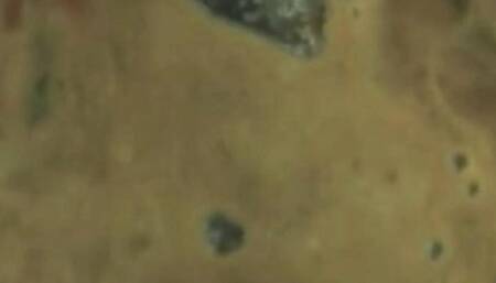 Full screen digestion in great quality with sounds - Gastric juices digest Sushi 4K