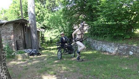 The Bullwhipped Pony - Chapter TWO