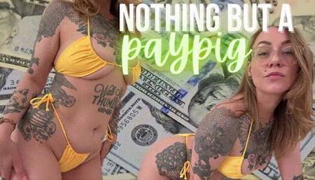 Nothing But A Paypig