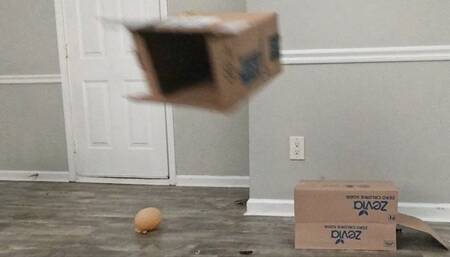 Fat Ass Jiggles and Shakes as Sexy Goddess Stomps on Disgusting Trash 1080