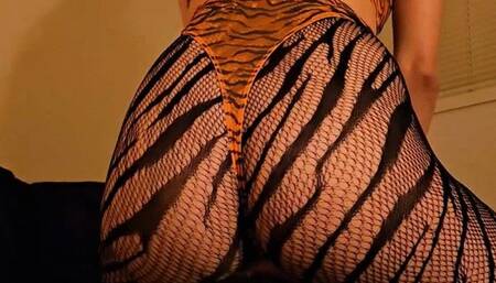 Tiger Mommy Pulses Her Ass on Your Face