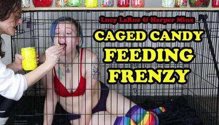 Caged Candy Feeding Frenzy