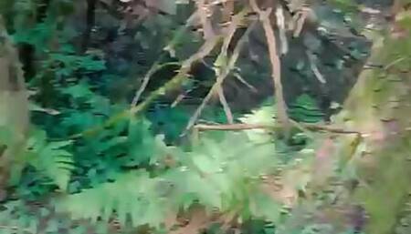 Fucking a BBW from behind in the woods whilst Dogging