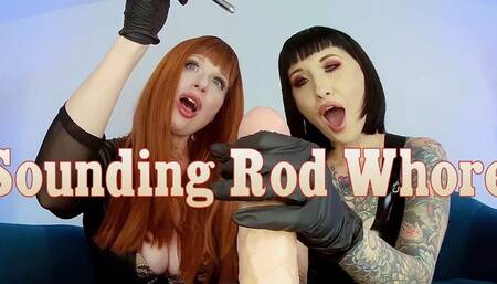 Sounding Rod Whore