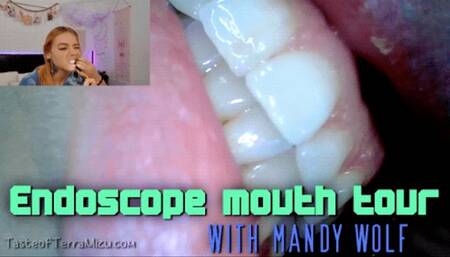 Endoscope mouth tour - Mandy Wolf - HD 720 WMV