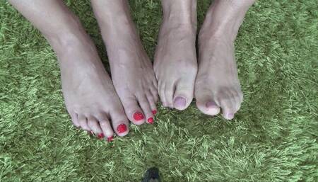 VEINS IN THE FEET AND HANDS Ta