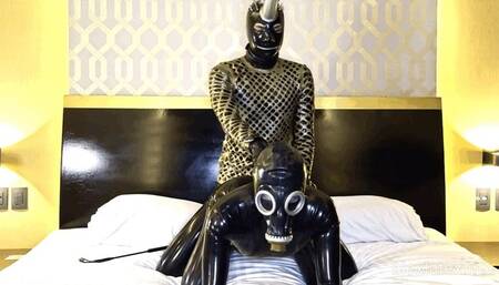 Golden Master, part 2 - Alex Latex