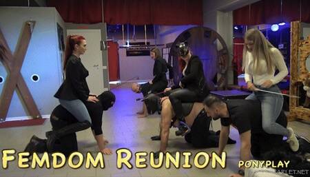 Lady Scarlet - Femdom reunion ponyplay (mobile)