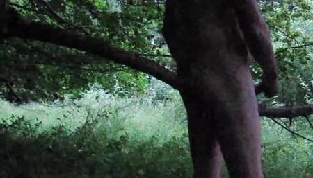 naturejungle hiker