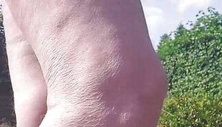 Small uncut in the sun