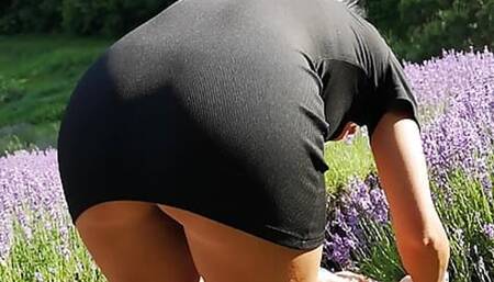 AMAZING ASS,AND PUSSY FLASHED BY BEAUTYFULL MILF ON PUBLIC LAVENDER PLANTATION