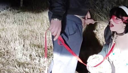 Piss Slut Wife in a Nun costume with a dog collar around her neck receives a golden shower her mouth from the side of the road