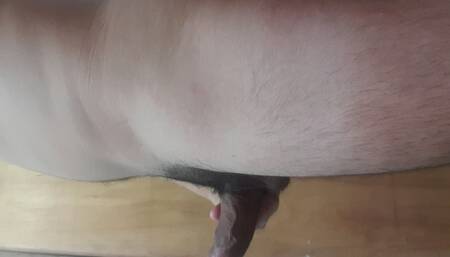 Young cock