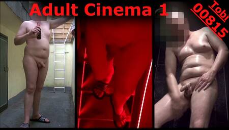 Adult Cinema Day 1 full shaved: Showering, naked on terrace, cruising, meeting stranger naked on stairs. Exhibitionist Tobi00815