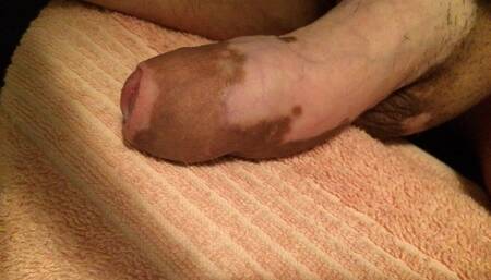 Multi coloured COCK. BIG DICK
